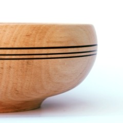 striped-maple-03